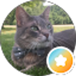 Profile photo of Amelie LaPlume