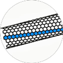 Profile photo of Shaun Wood