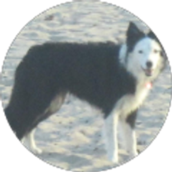 Profile photo of Kelli A