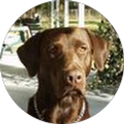 Profile photo of D Miller