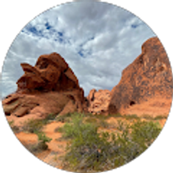 Profile photo of Văn Tuấn Phạm