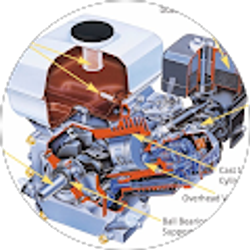 Profile photo of jaden Quigley