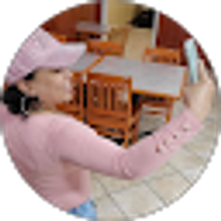 Profile photo of brendyberenice villamansantana