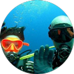 Profile photo of Donald Dillard