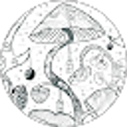 Profile photo of Laike Tammen