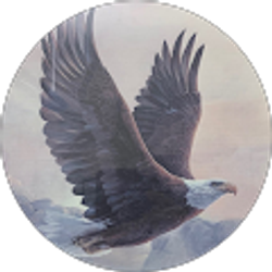 Profile photo of David Mueller