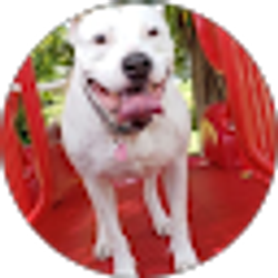 Profile photo of KevinDurplant