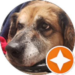 Profile photo of Angie Clontz