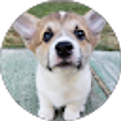 Profile photo of Glendon Niblack
