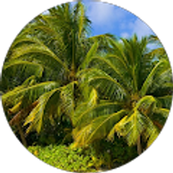 Profile photo of prof Ibrahim