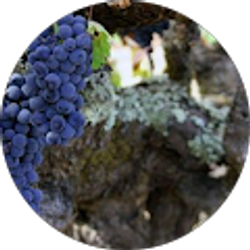 Profile photo of Brian Simeroth
