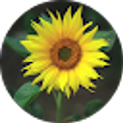 Profile photo of Vicki