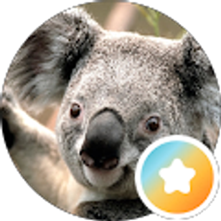 Profile photo of WellImMadNow