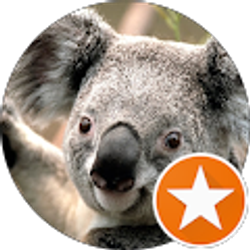 Profile photo of WellImMadNow