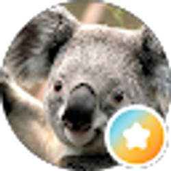 Profile photo of WellImMadNow