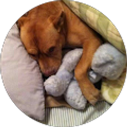 Profile photo of RLB1977