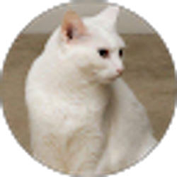 Profile photo of P.M. Beverage