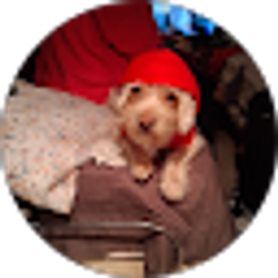 Profile photo of Veronica Goulette
