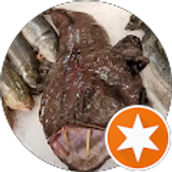 Profile photo of Mike Mishell