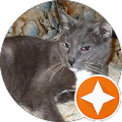 Profile photo of Nancy Galvan