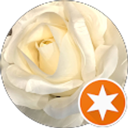 Profile photo of Moon rose