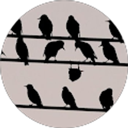 Profile photo of Skean Thu