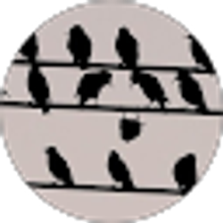 Profile photo of Skean Thu