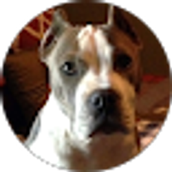 Profile photo of Jennifer Parks