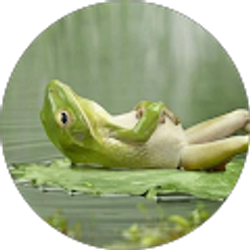 Profile photo of Mike Agen