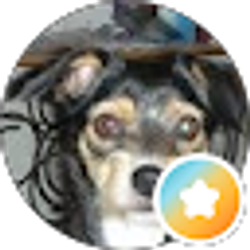 Profile photo of Carrie W