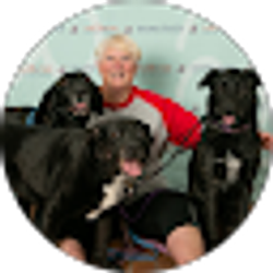 Profile photo of Ann Bulletset