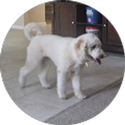 Profile photo of Cheryl Pollard