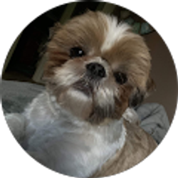 Profile photo of taylormarie