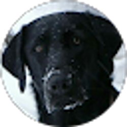 Profile photo of Philip Blakeman