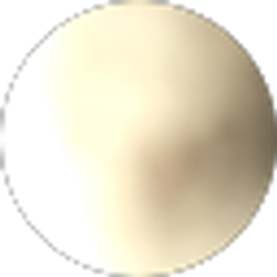 Profile photo of Nikki Savidge