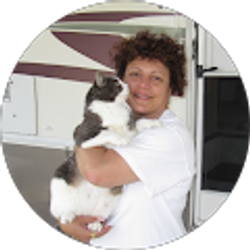 Profile photo of carmen dumitrescu