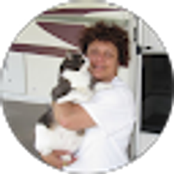 Profile photo of carmen dumitrescu