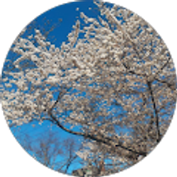 Profile photo of chastity berrios