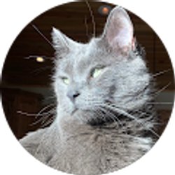 Profile photo of Sandy Birdyshaw