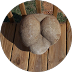 Profile photo of julius arlt