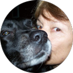 Profile photo of Janet Longo- Pederson