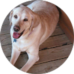 Profile photo of TIKI BABY417