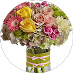 Profile photo of floral dimensions