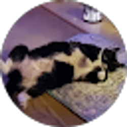 Profile photo of Tammy Kerns