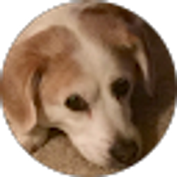 Profile photo of William Petras