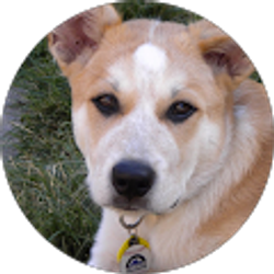 Profile photo of P R