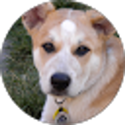 Profile photo of P R