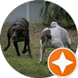 Profile photo of Eddie Walters