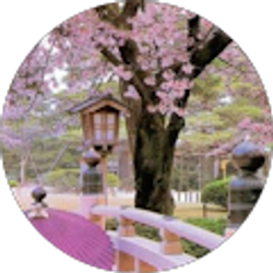 Profile photo of Kiddybar Gee