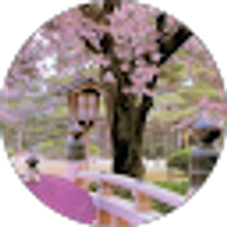 Profile photo of Kiddybar Gee